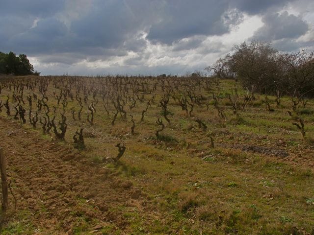 2016 Château Grand Bertin de Saint Clair - CellarTracker