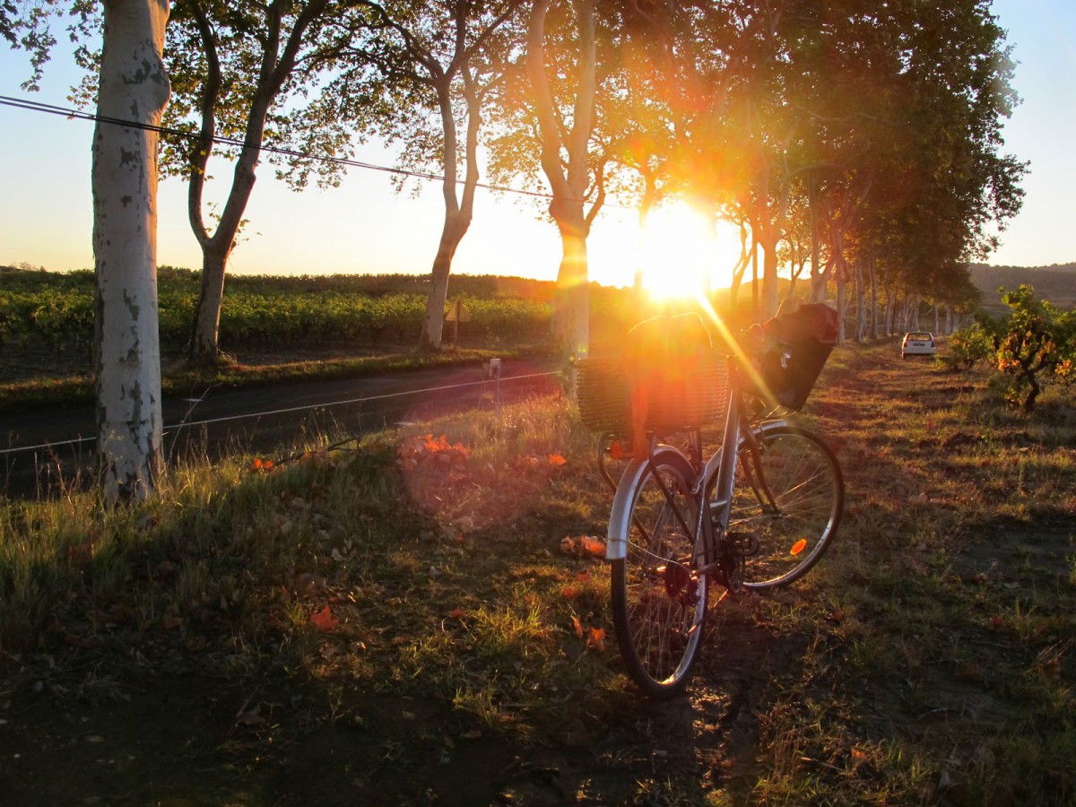 sunrise bike