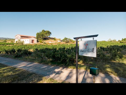 Colline de l&#039;hirondelle - Nos vins